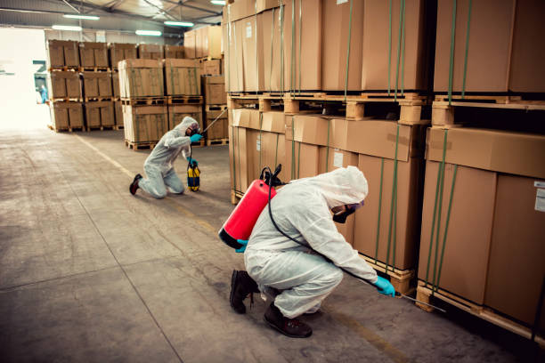 Best Termite Control Services  in Traverse City, MI