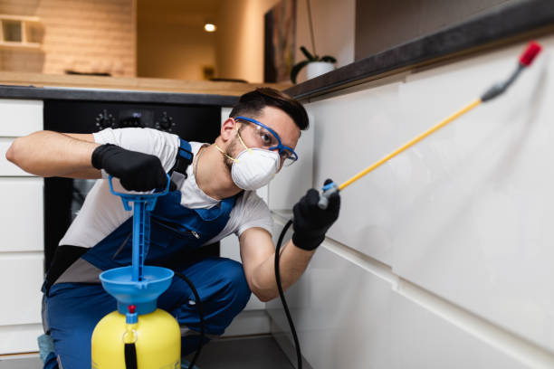 Best Flea Control Services  in Traverse City, MI