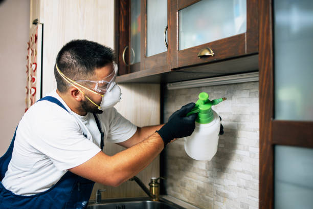 Best Residential Pest Control  in Traverse City, MI