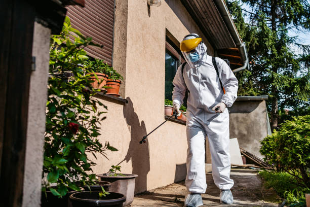 Best Residential Pest Control  in Traverse City, MI
