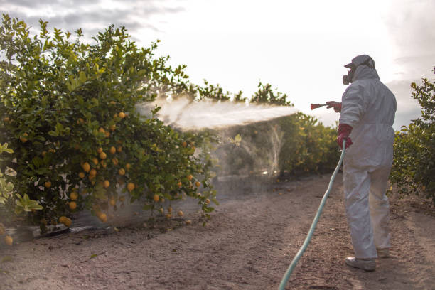 Best Commercial Pest Control Services  in Traverse City, MI