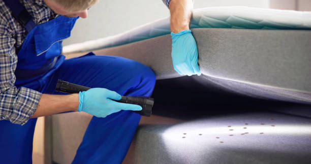  Traverse City, MI Pest Control Pros