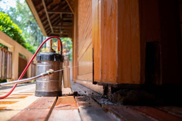 Best Insect Control  in Traverse City, MI