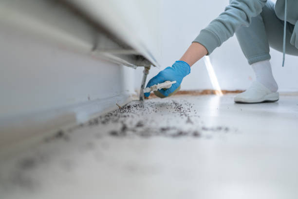 Best Best Pest Control Companies  in Traverse City, MI