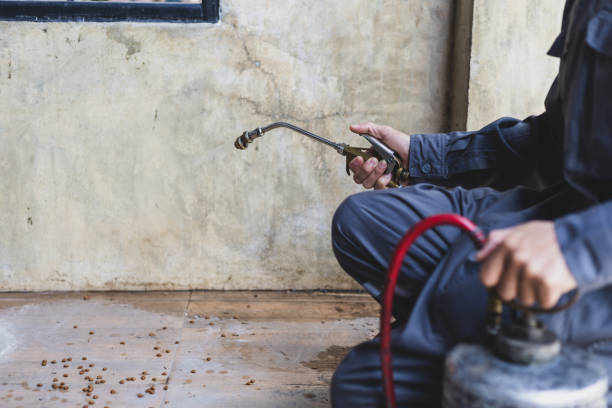 Best Rat Extermination Near Me  in Traverse City, MI