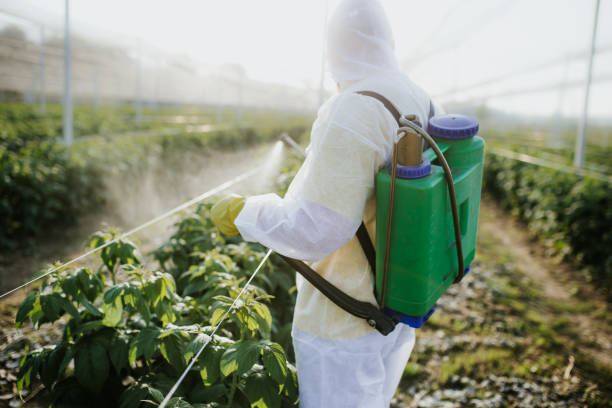 Traverse City, MI Pest Control Company